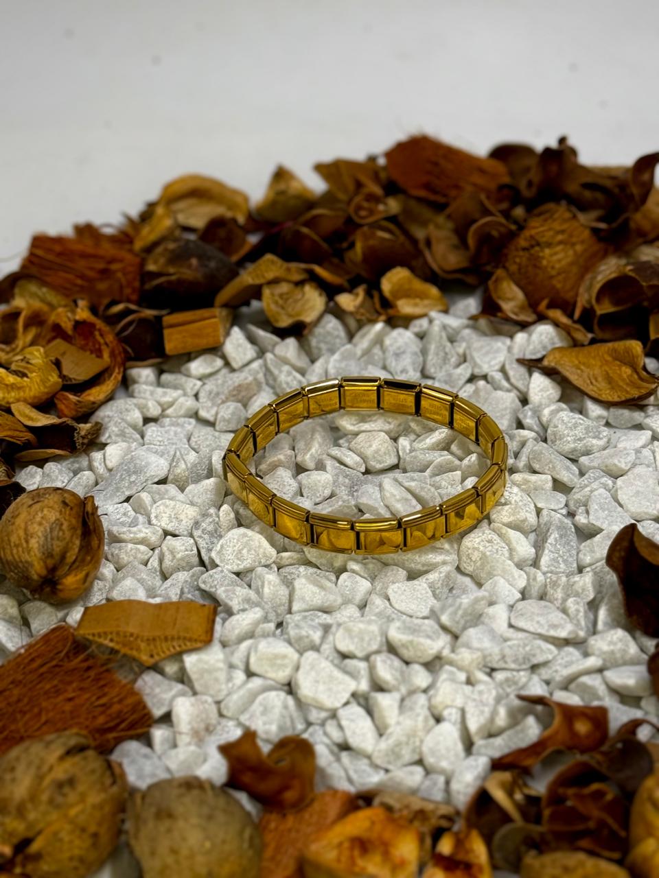 Luxury Stainless Steel Magnetic Bracelet