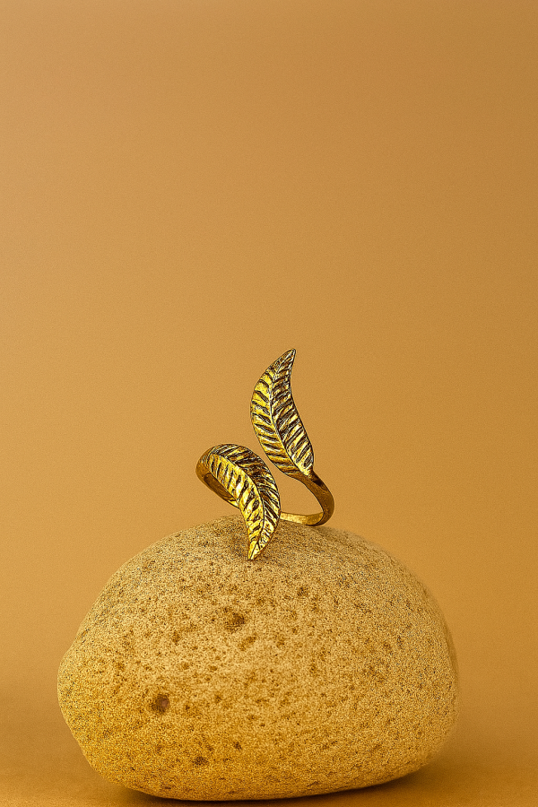 Edge Ring